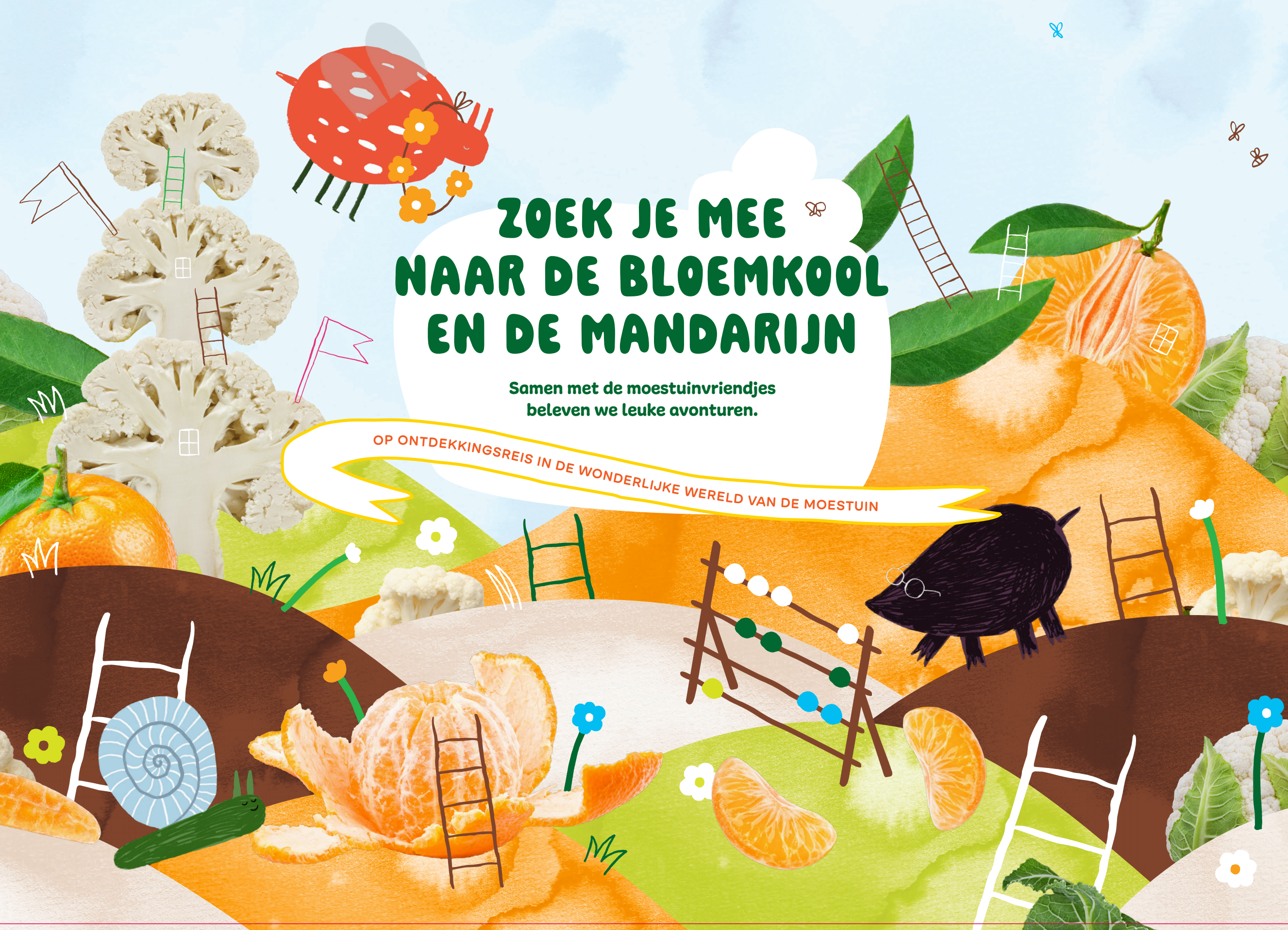 Pre order: Groentepretpakket Bloemkool-Mandarijn